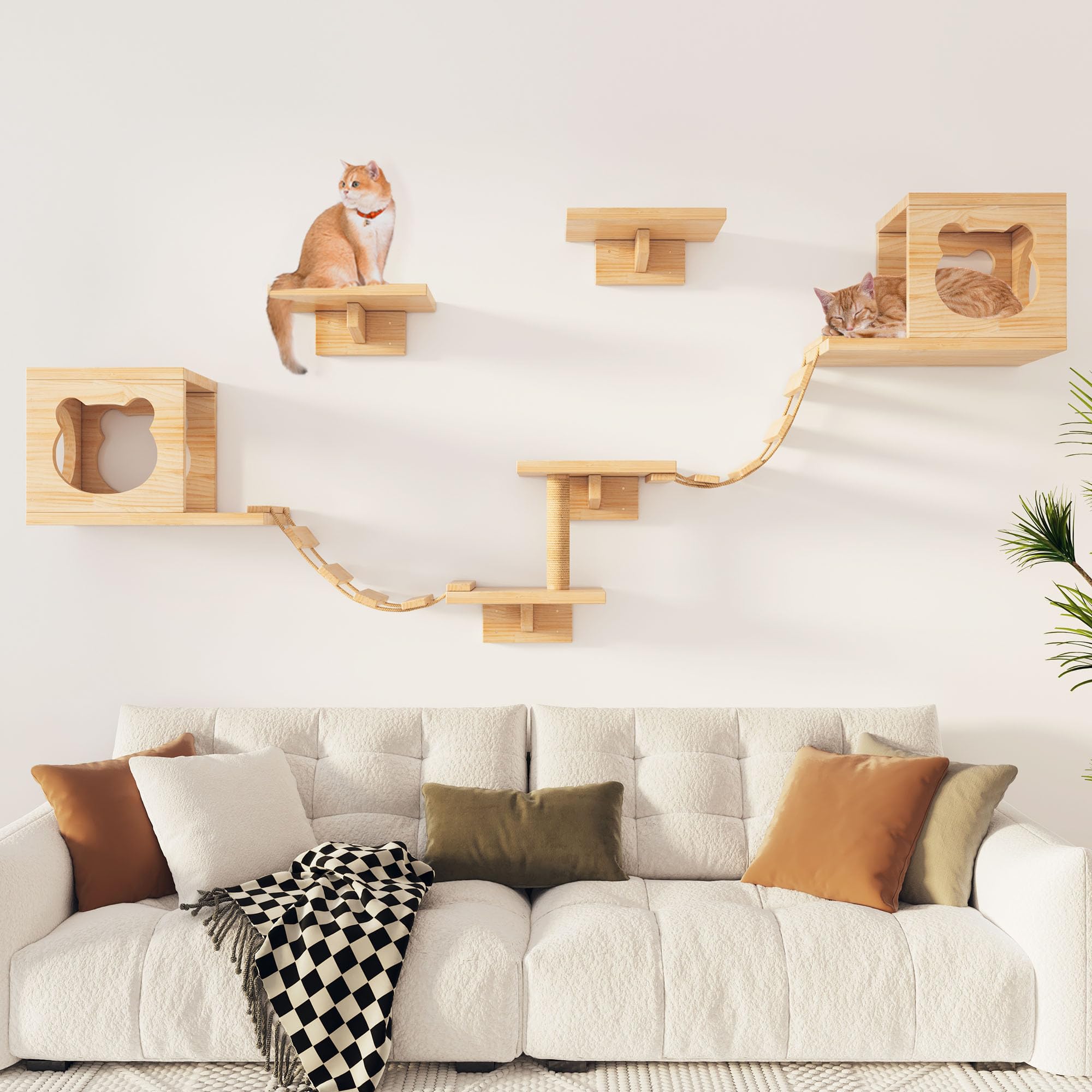 Estanterías de pared PETKABOO para gatos, opción modular para juego y descanso elevados.