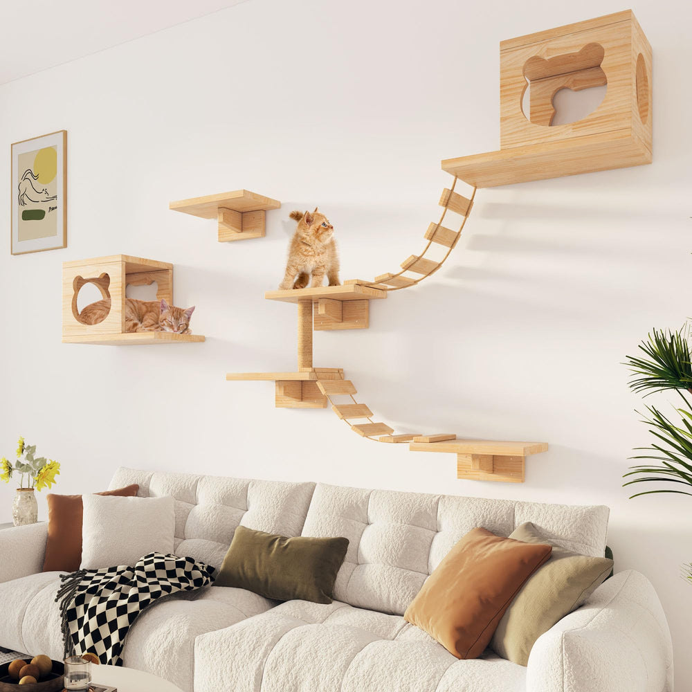 Plataforma de pared PETKABOO para gatos, crea rutas seguras de exploración.