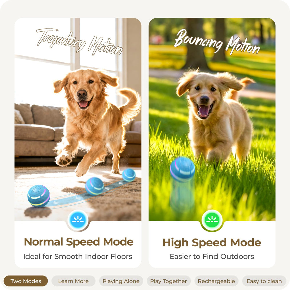 Apasiri Bola Móvil para perros, juego interactivo y seguro