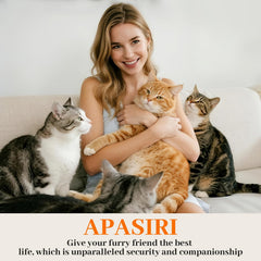 Apasiri casa-gato-aislamiento-fieltro: mantiene el calor y confort