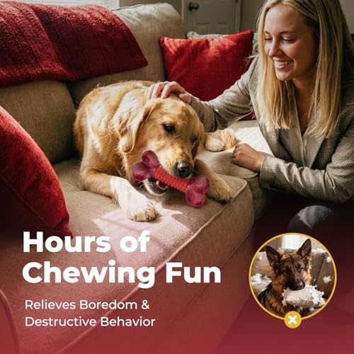 Tres opciones en un pack para hogares con varios perros.
