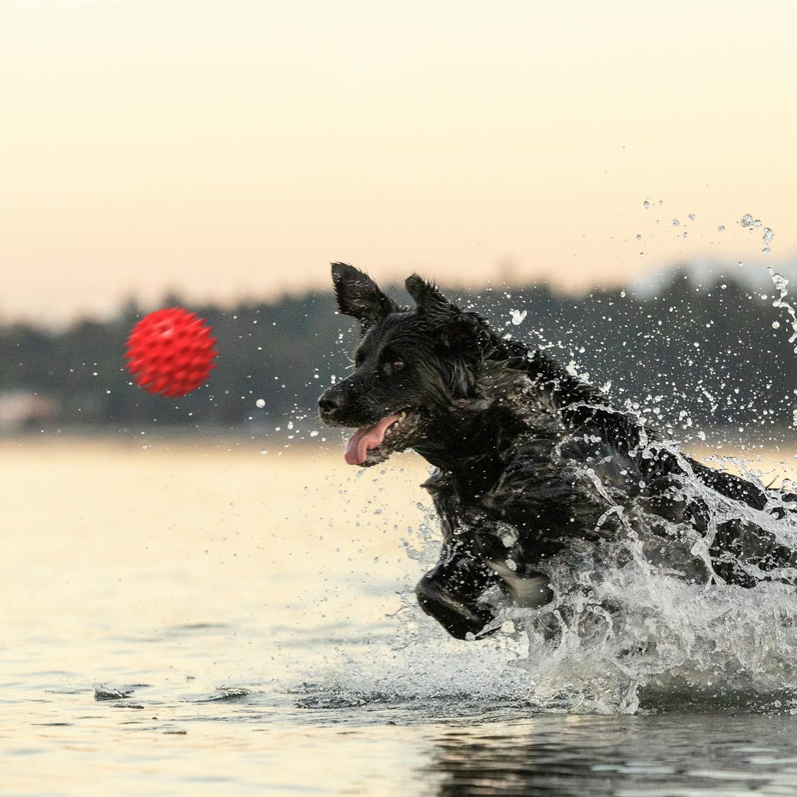 Pelota Apasiri que estimula la masticación y juego activo