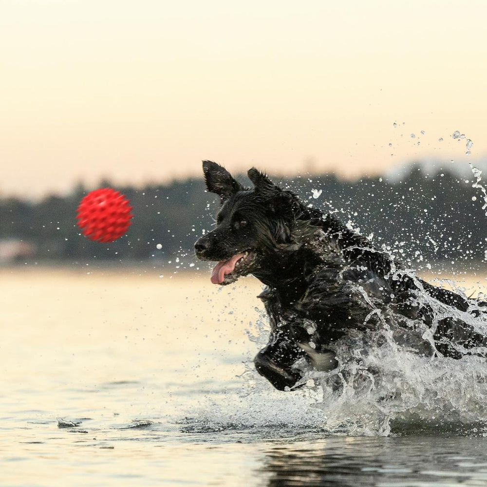Pelota Apasiri que estimula la masticación y juego activo