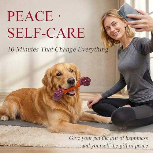 Apasiri regalo perfecto para familias con varios perros.