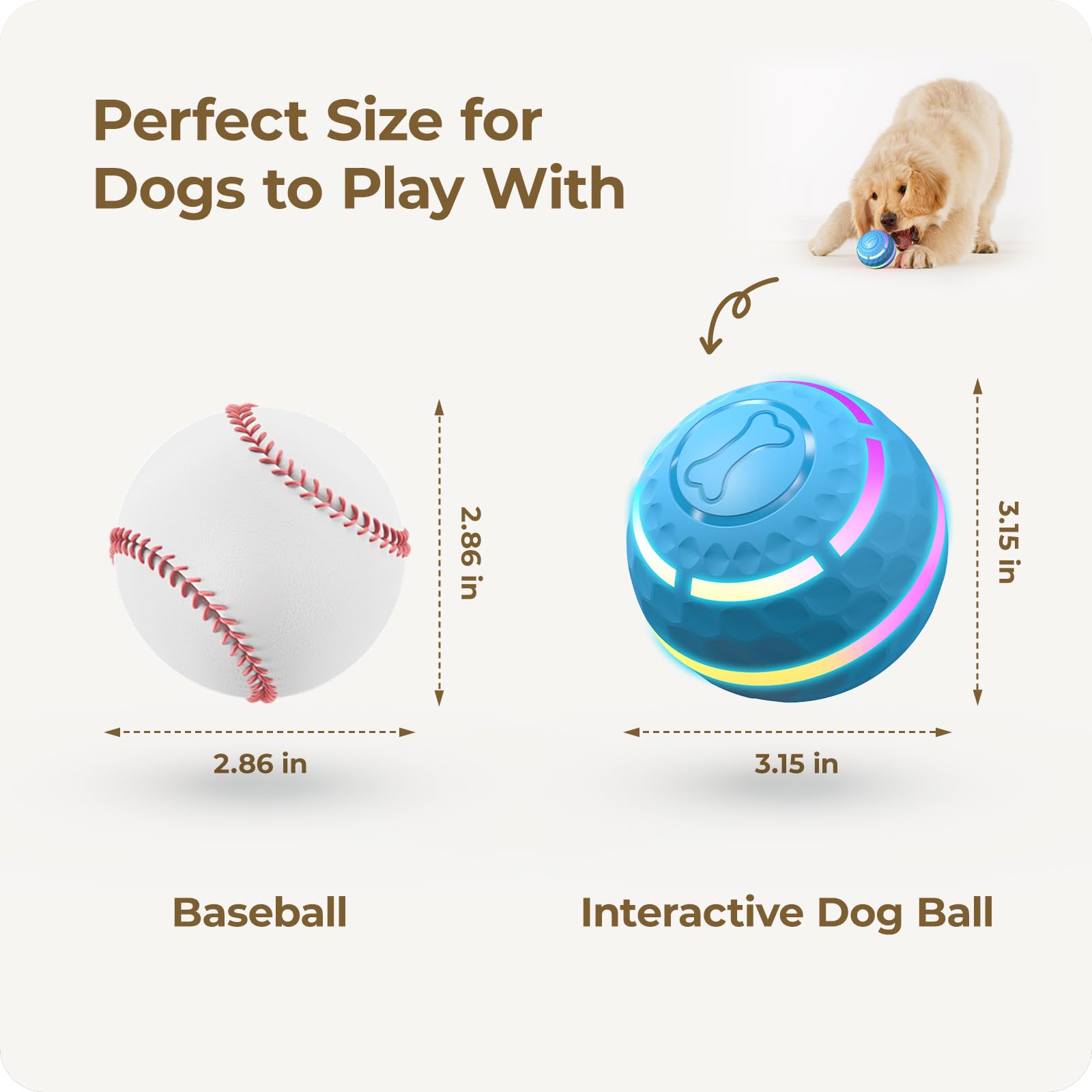 Apasiri Tamaño 8 cm, adecuado para perros grandes y pequeños