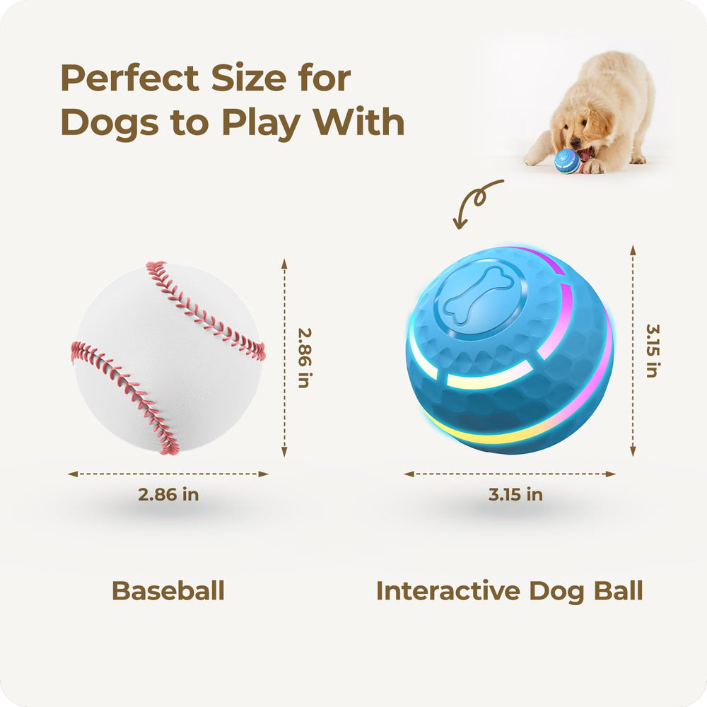 Apasiri Tamaño 8 cm, adecuado para perros grandes y pequeños