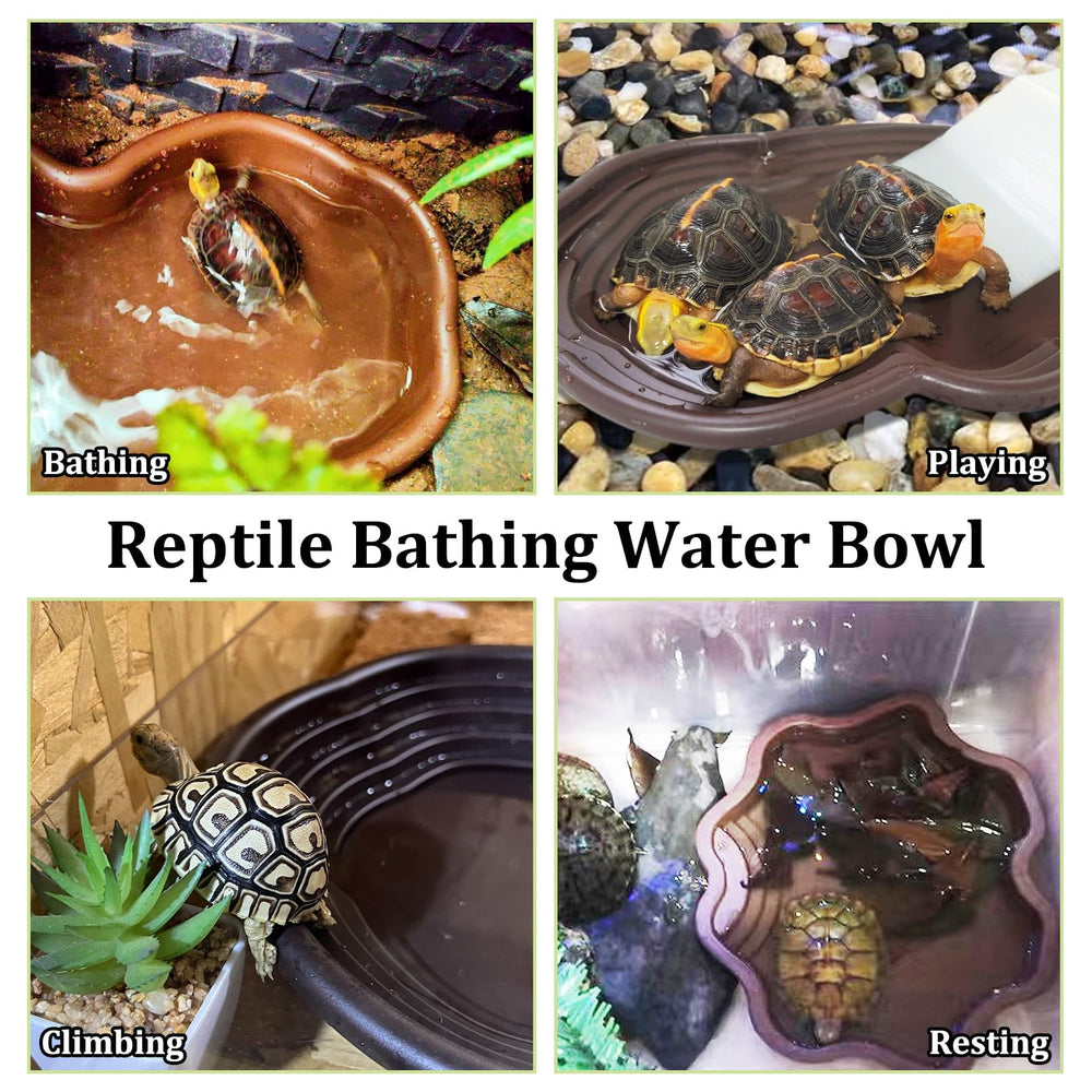 Apatal habitat tortugas duradero y estable