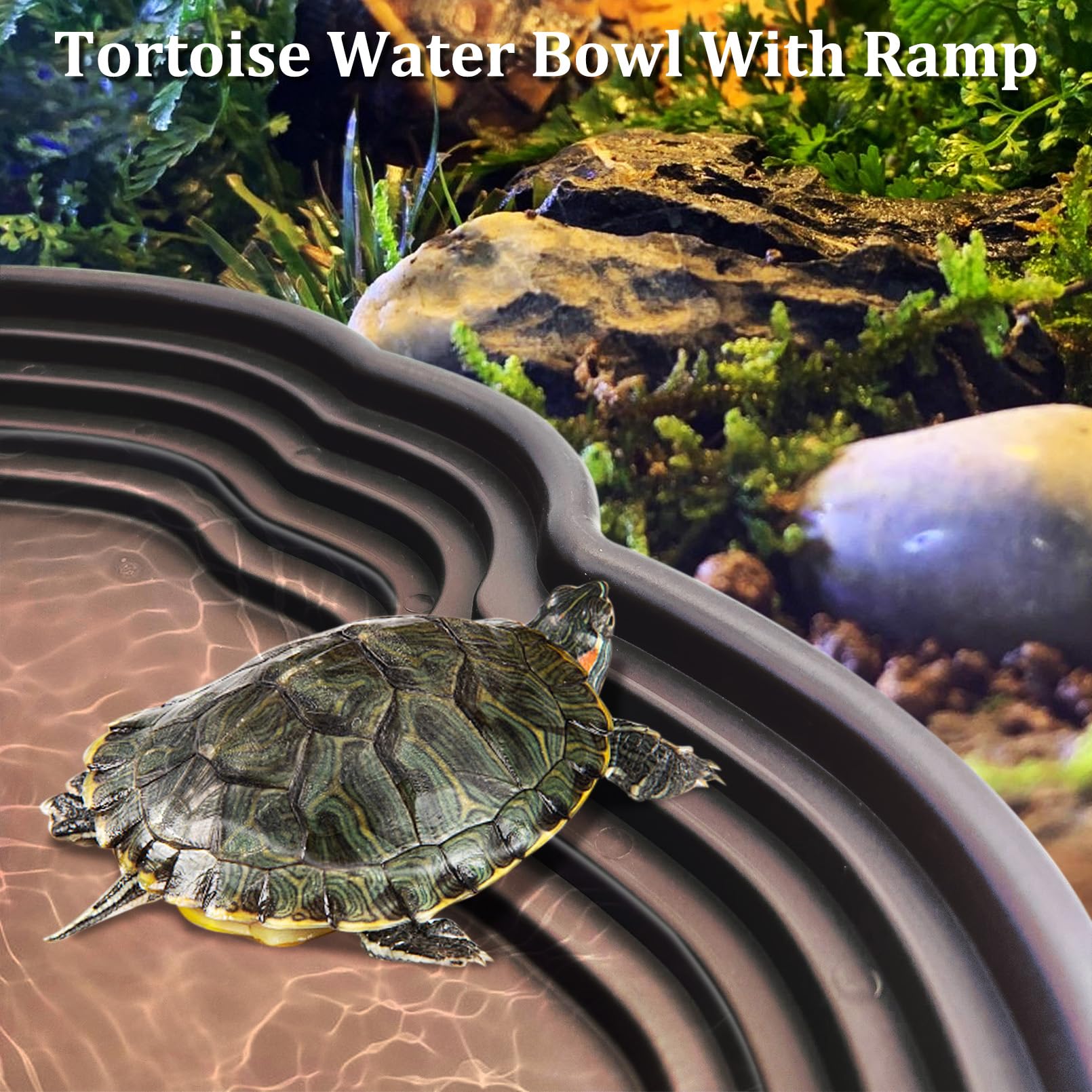 Apatal rampa de acceso para reptiles ayuda a subir y bajar sin resbalones
