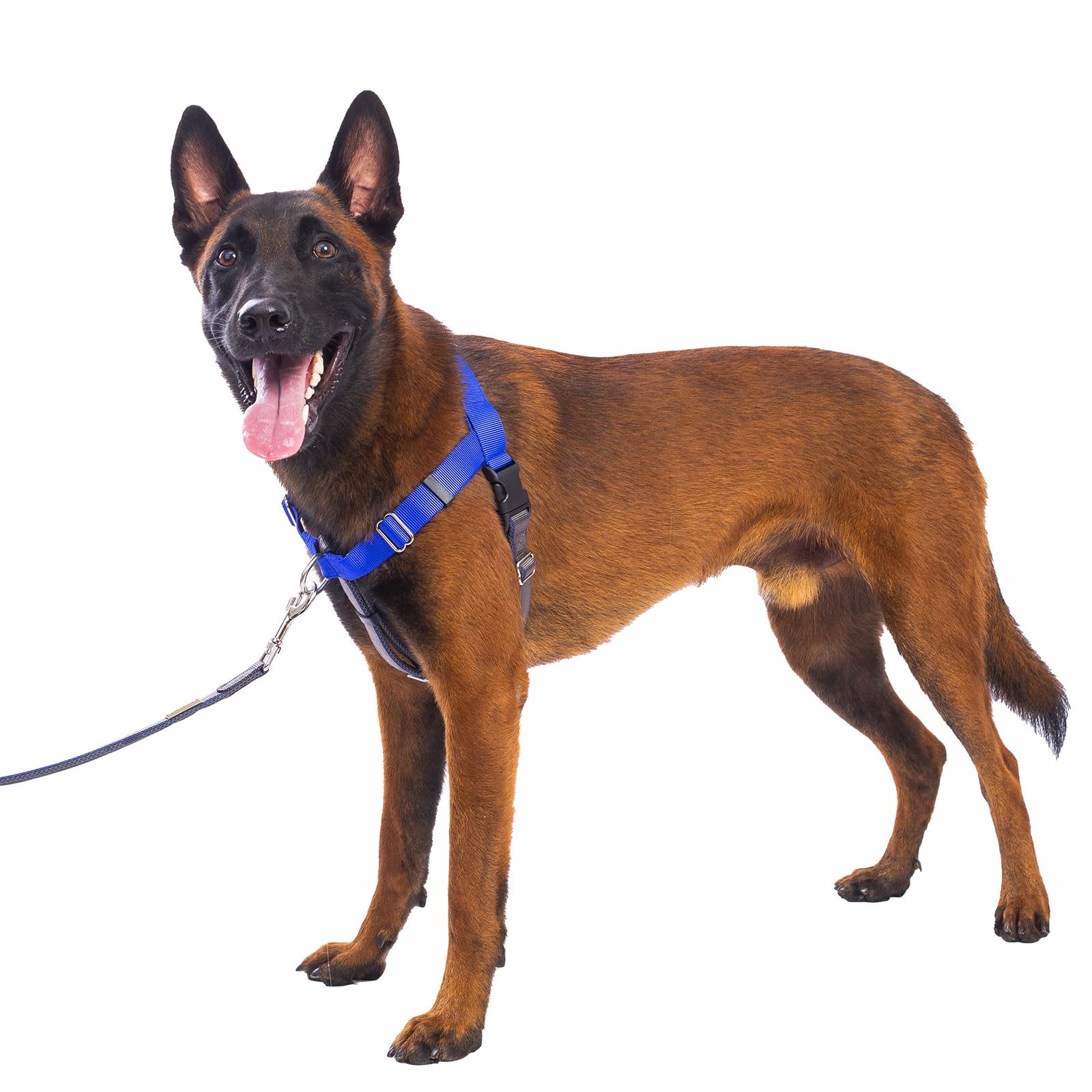 APDEXY Freedom: arnés frontal clip azul para perros grandes mejora control y comodidad