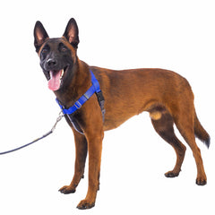 APDEXY Freedom: arnés frontal clip azul para perros grandes mejora control y comodidad