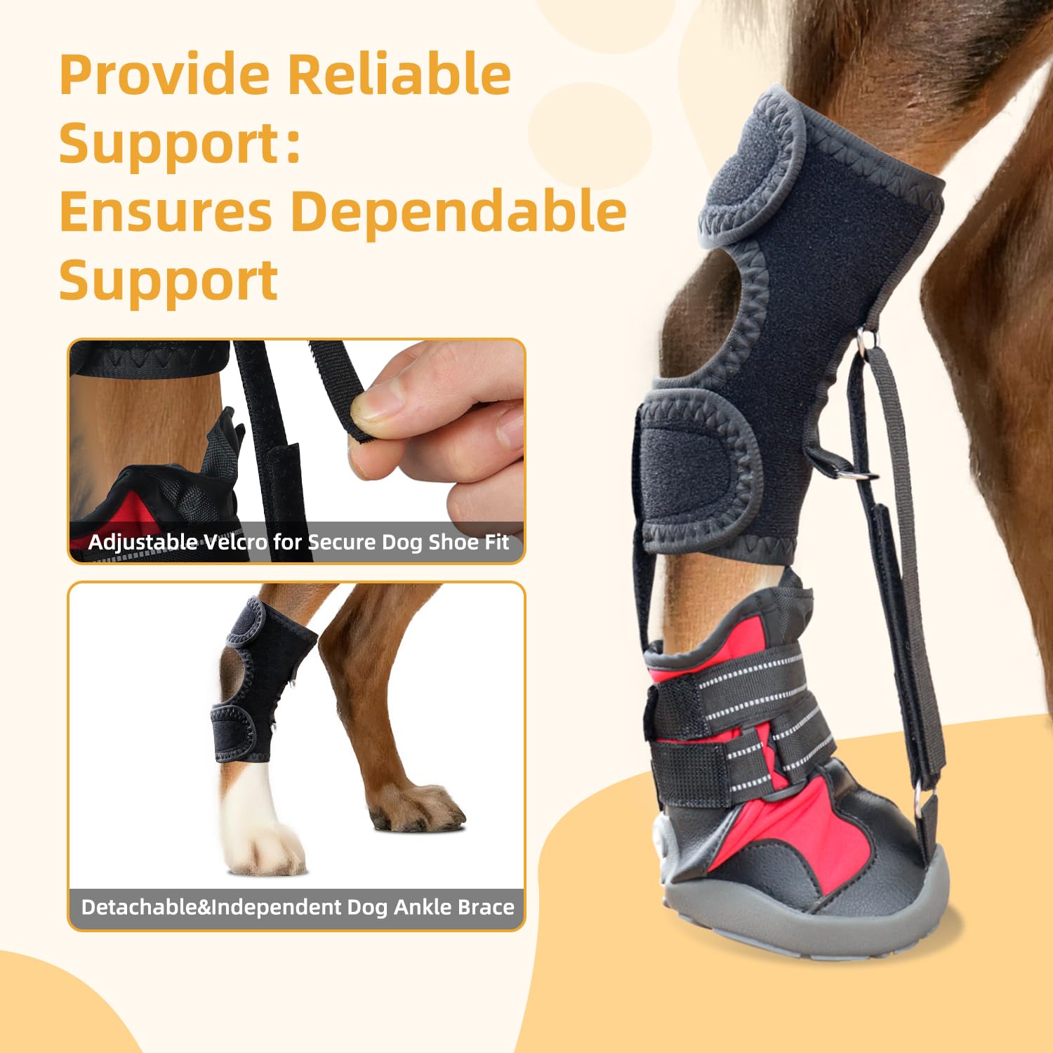 Apedret talla XL para perro: ajuste cómodo para perros de gran tamaño.