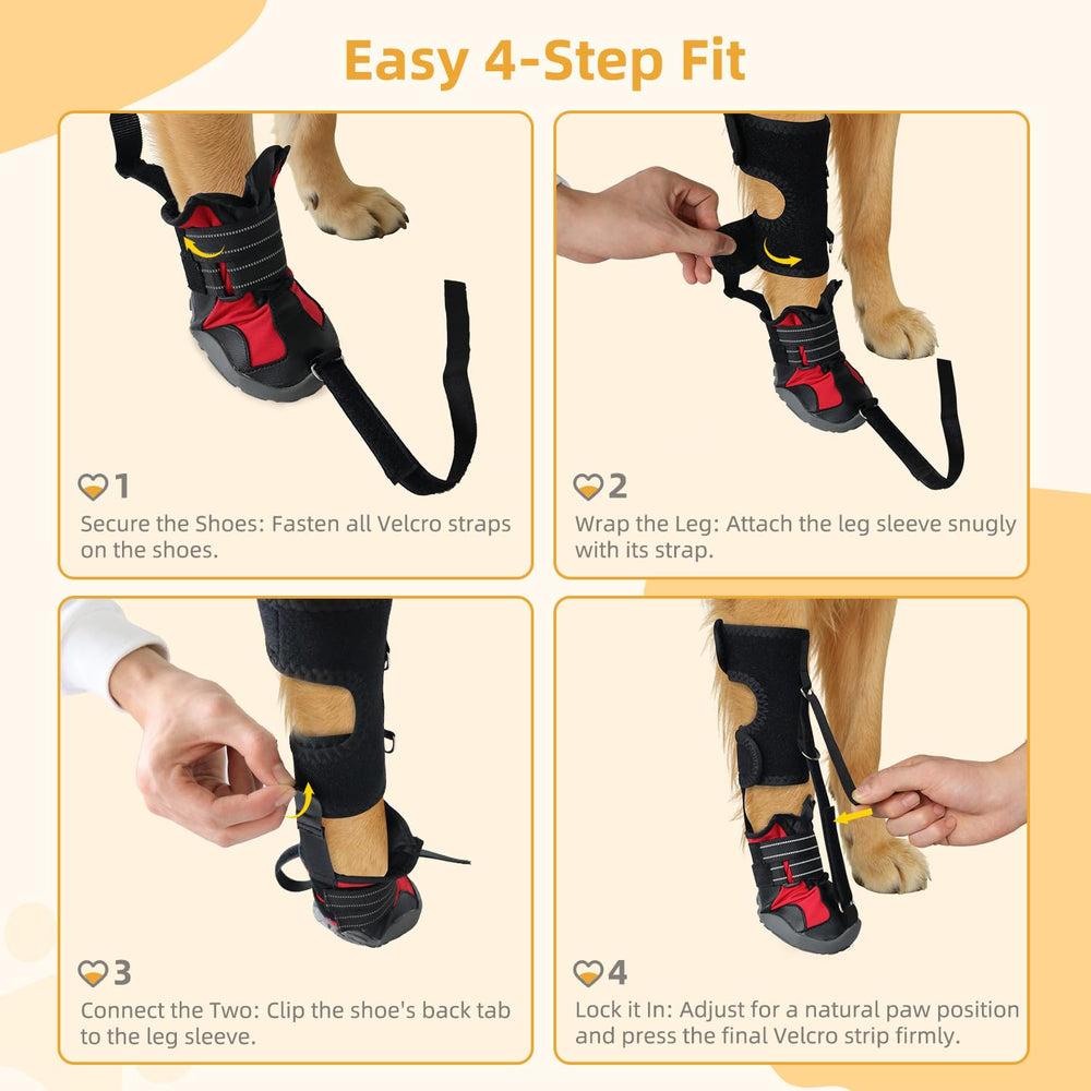 Apedret zapatillas para perro correctivas: elevan los dedos con seguridad durante el ejercicio.