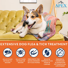 Apex Plus aplicación en la piel del perro para protección mensual