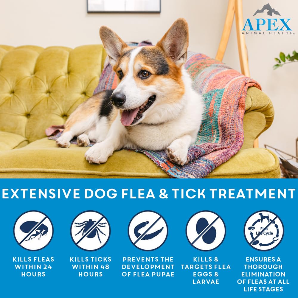 Apex Plus: aplicación tópica en perro mediano muestra cobertura uniforme.