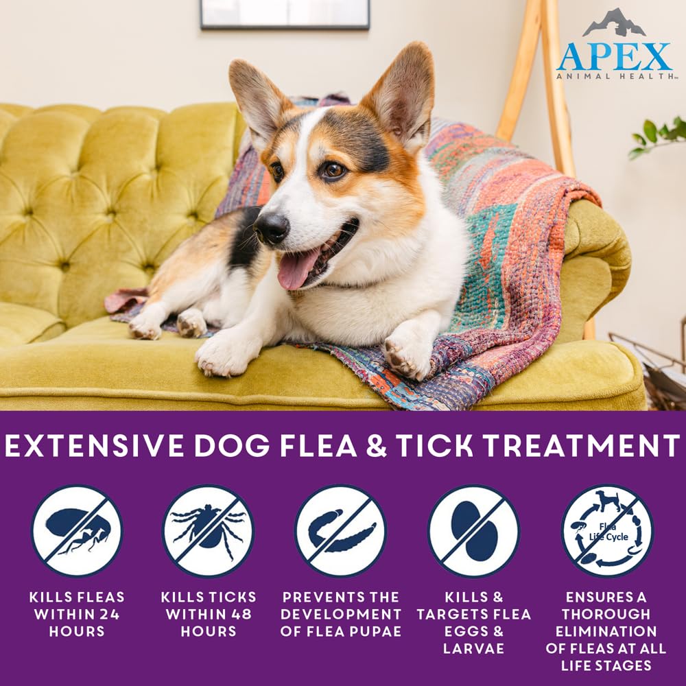 Apex Plus: dosificación para perros grandes, protección precisa.