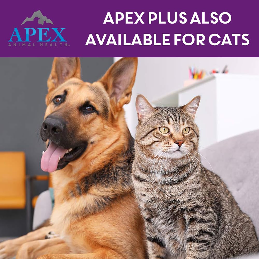 Apex Plus: empaque de 3 meses para dueños ocupados.