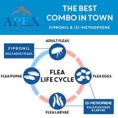 Apex Plus etiqueta-tamano-mediano facilita elegir la dosis correcta.