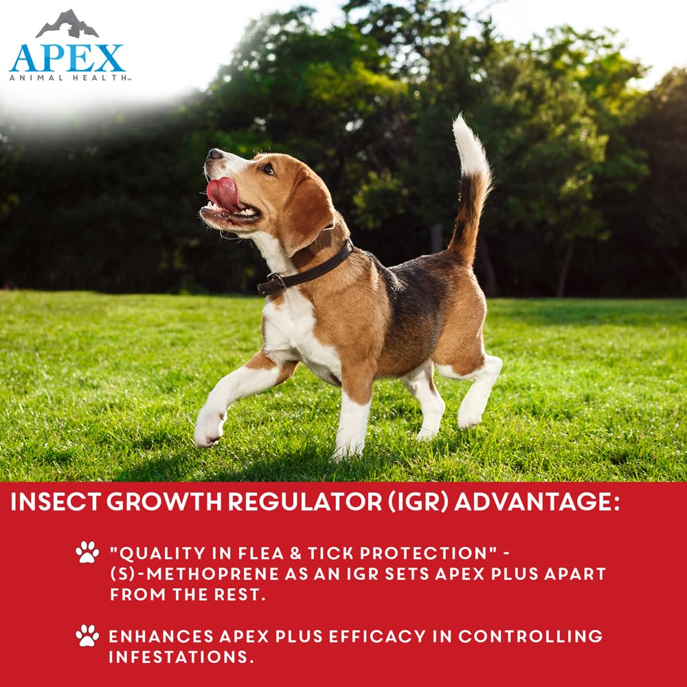 APEX PLUS, mano aplicando en el pelaje del perro.