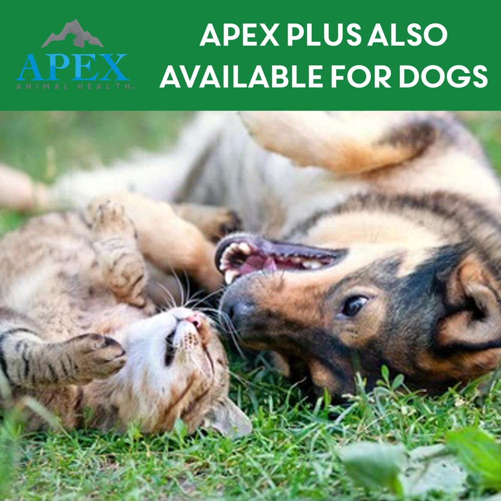 Apex Plus para gatos y gatitos, aplicación fácil.