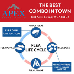 Apex Plus: aplicación tópica en la espalda para cobertura uniforme.