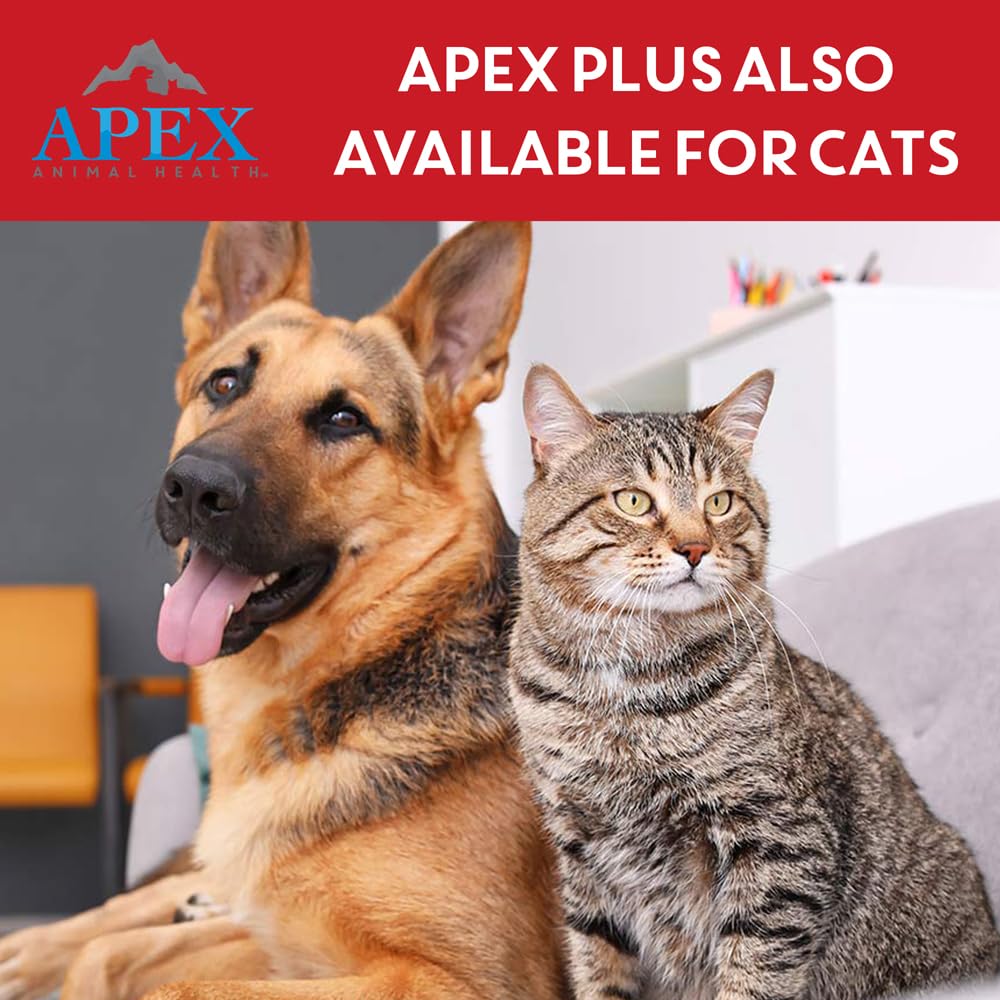 Apex Plus ofrece suministro de 3 meses para perros activos.