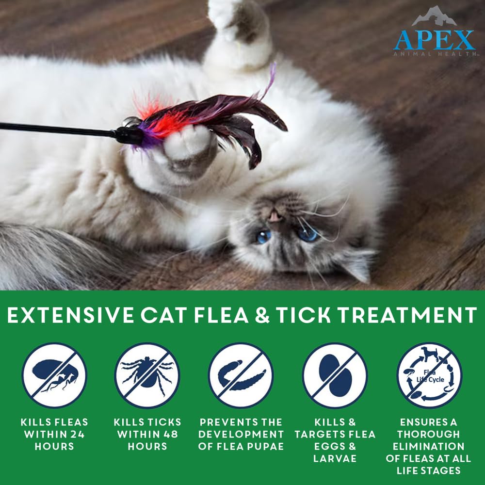 Apex Plus: elimina pulgas y garraspatas en gatos y gatitos.