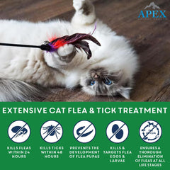 Apex Plus: elimina pulgas y garraspatas en gatos y gatitos.