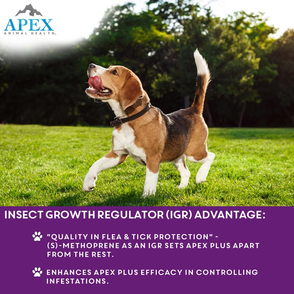 Apex Plus: uso mensual para protección continua.
