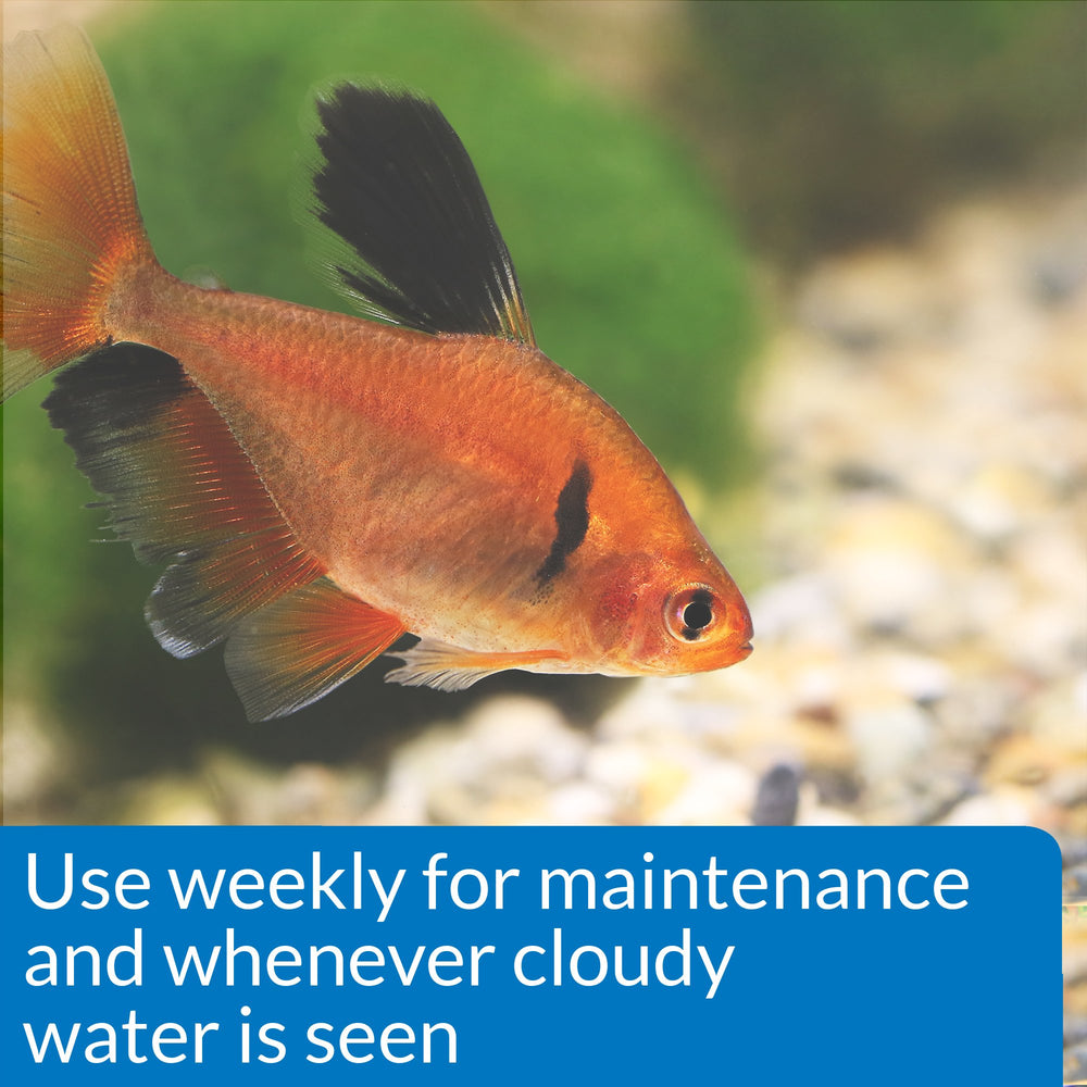 Dosis semanal de API ACCU-CLEAR para mantenimiento del acuario.