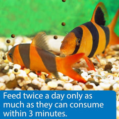 API gránulos con absorción nutritiva eficiente para peces de acuario.