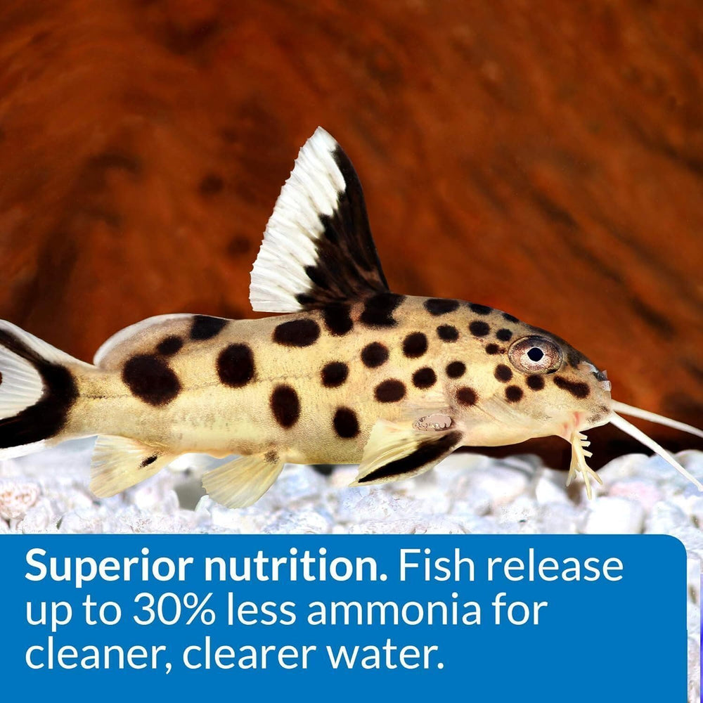 API gránulos para agua limpia y acuario saludable.