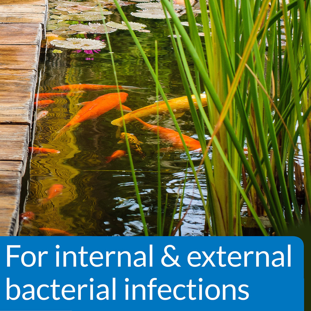 API PIMAFIX compatible con arrecifes y plantas vivas en el acuario.