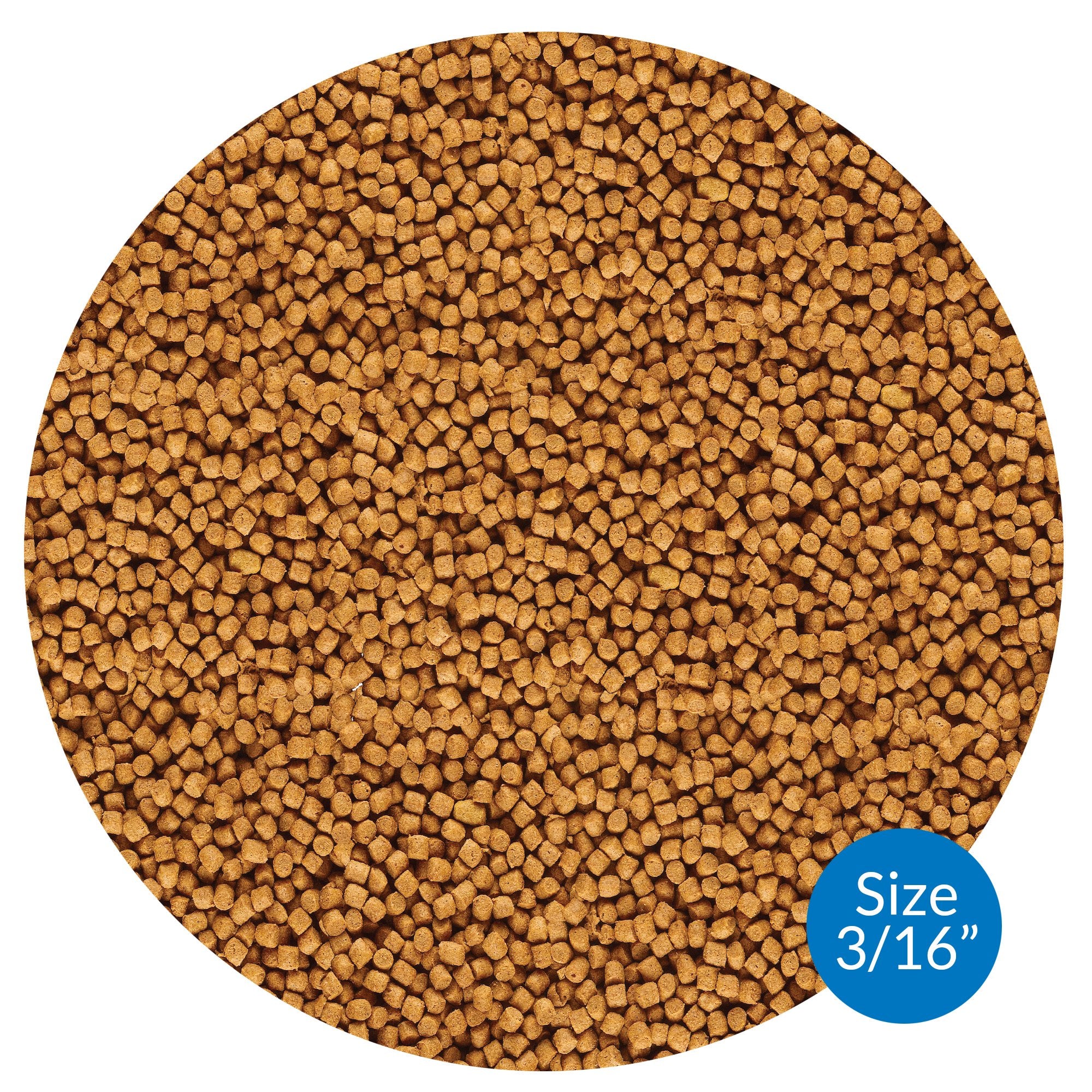 API POND pellets para peces en agua fría, favorecen ingesta y digestión.