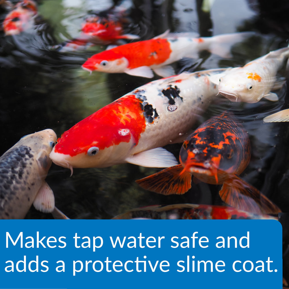 Estanque con agua limpia tras usar API Pond Stress Coat para proteger peces y plantas.