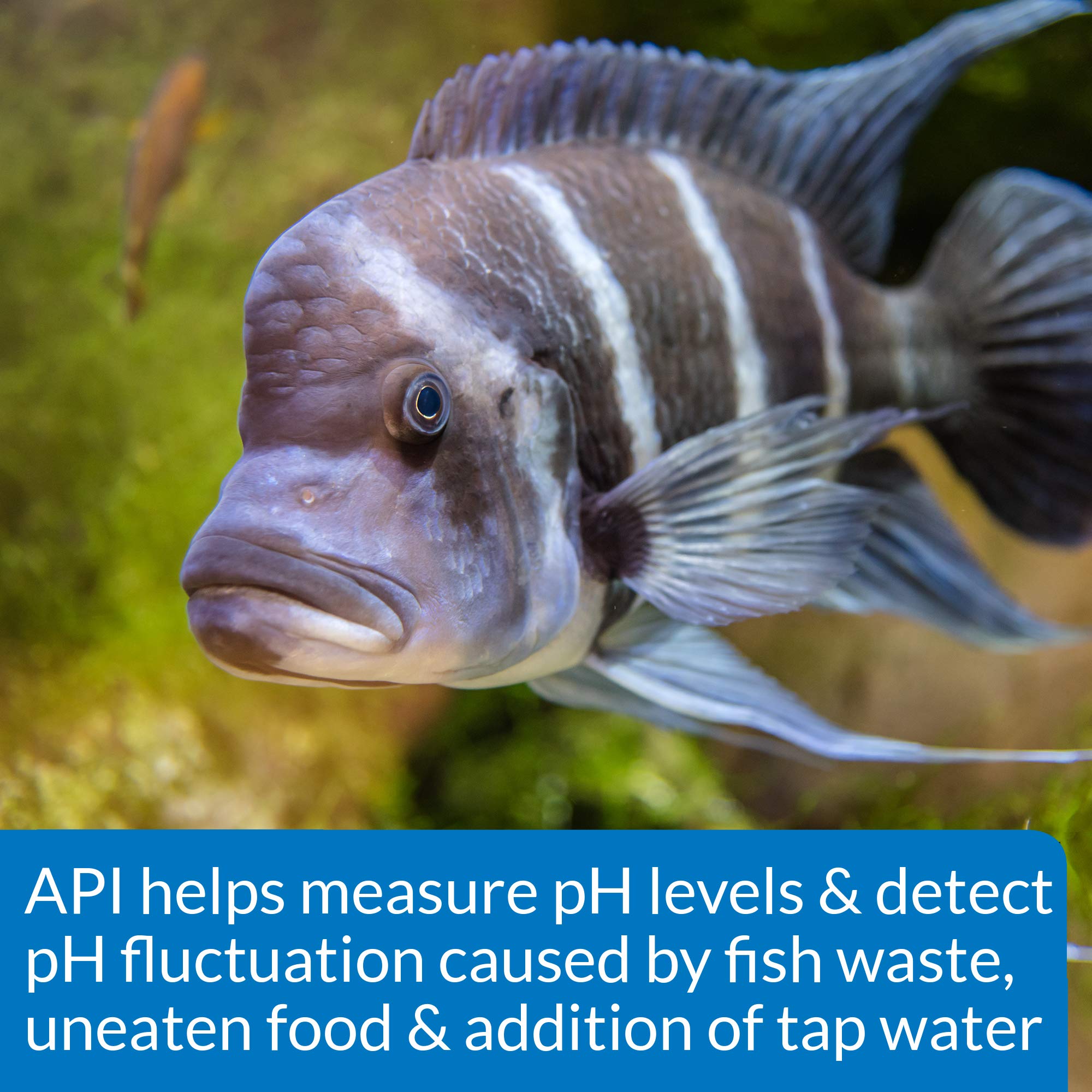 API kit de prueba pH alto rango ideal para monitoreo semanal del acuario