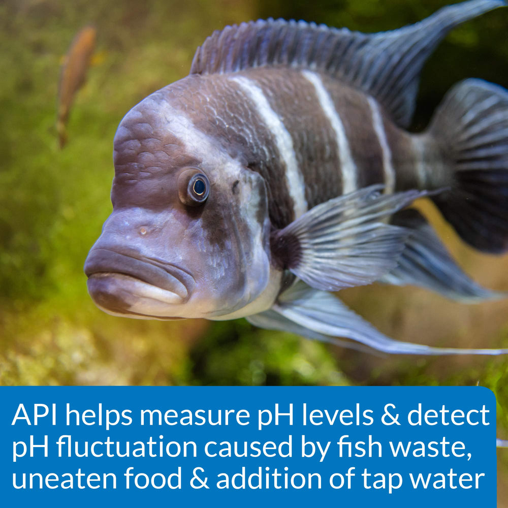 API kit de prueba pH alto rango ideal para monitoreo semanal del acuario