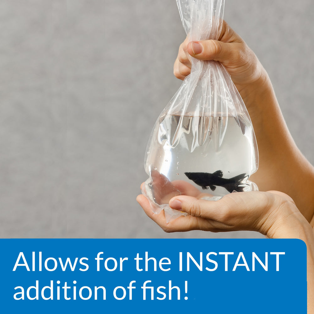 API QUICK START: uso inmediato para acuarios nuevos y peces recién añadidos.