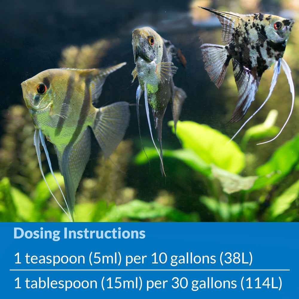 API Stress Coat: guía de dosificación de 5 ml por 10 galones