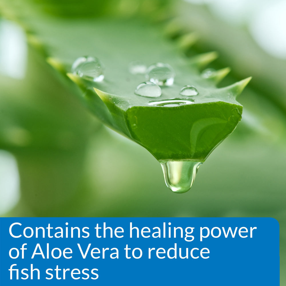 API STRESS COAT protege la capa mucosa de los peces