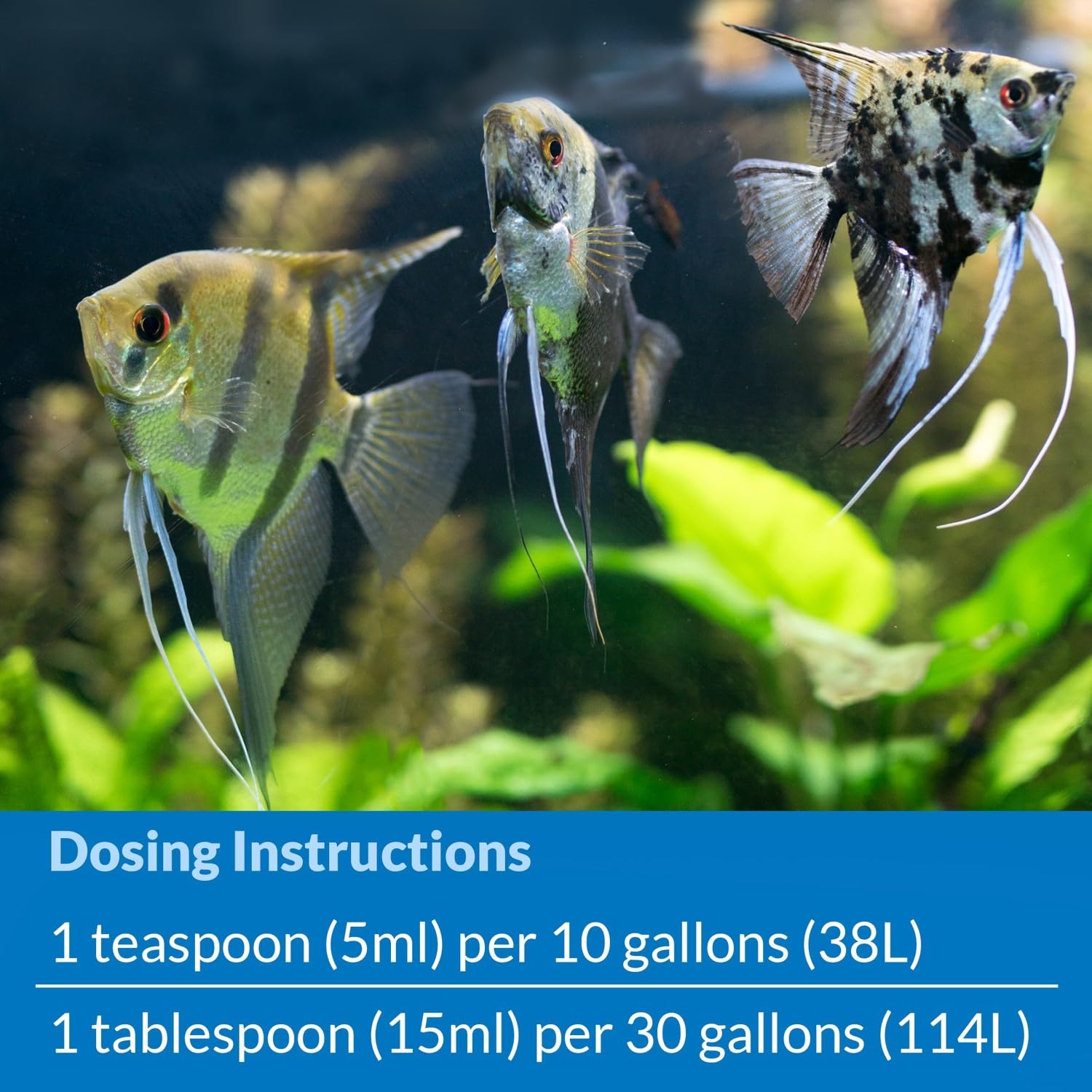 API Stress Coat – uso en acuario para un entorno más estable para peces.