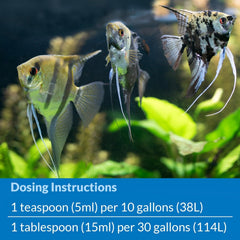 API Stress Coat – uso en acuario para un entorno más estable para peces.