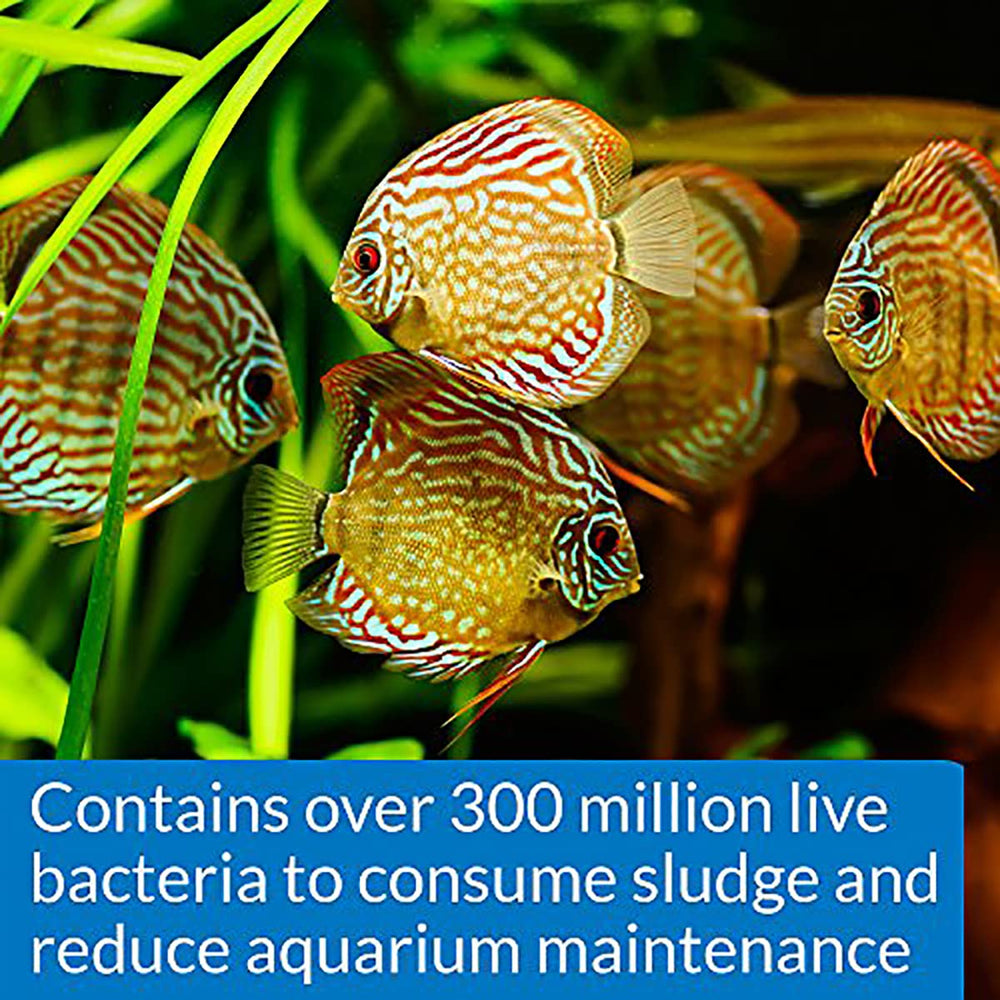 API Stress Zyme: bacterias beneficiosas para un acuario más estable.