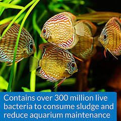API Stress Zyme: bacterias beneficiosas para un acuario más estable.