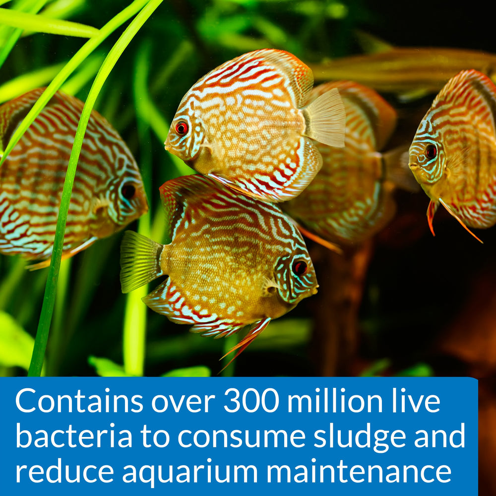 API Stress Zyme ilustrando lodo descompuesto por bacterias