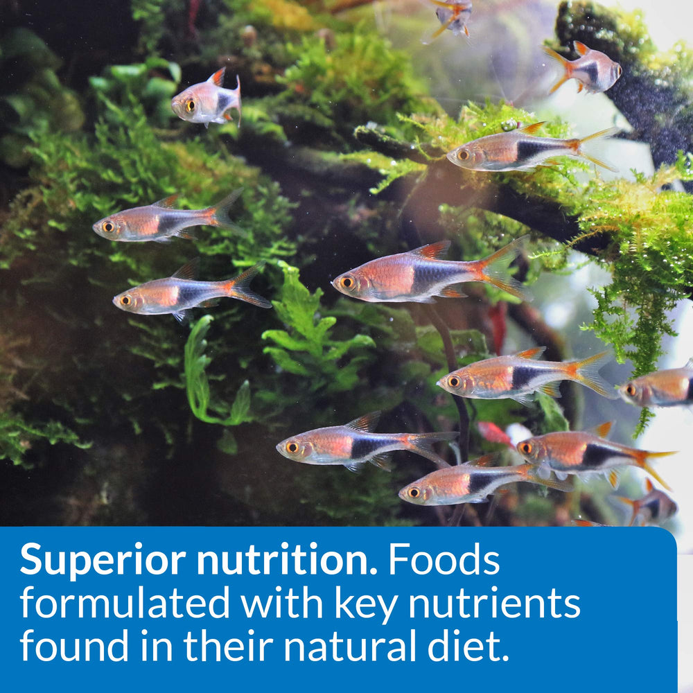 API Tropical Flakes: carotenoides que realzan colores vibrantes en tus peces.