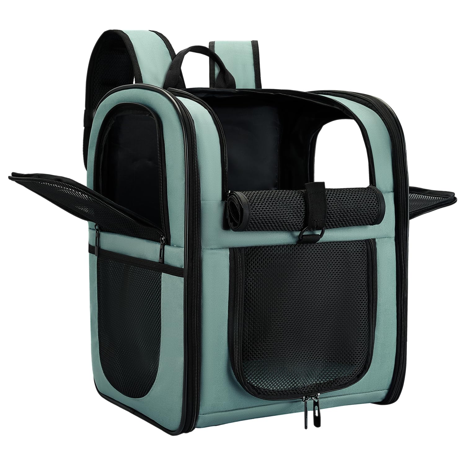 Mochila portadora Apollo Walker para perros y gatos con espalda acolchada, ideal para paseos