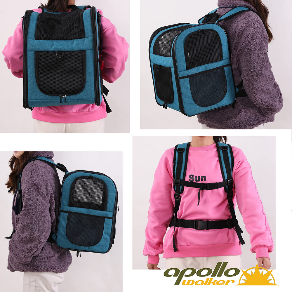 Apollo Walker Mochila Portapet Teal, apta para mascotas de hasta 8 kg en salidas.