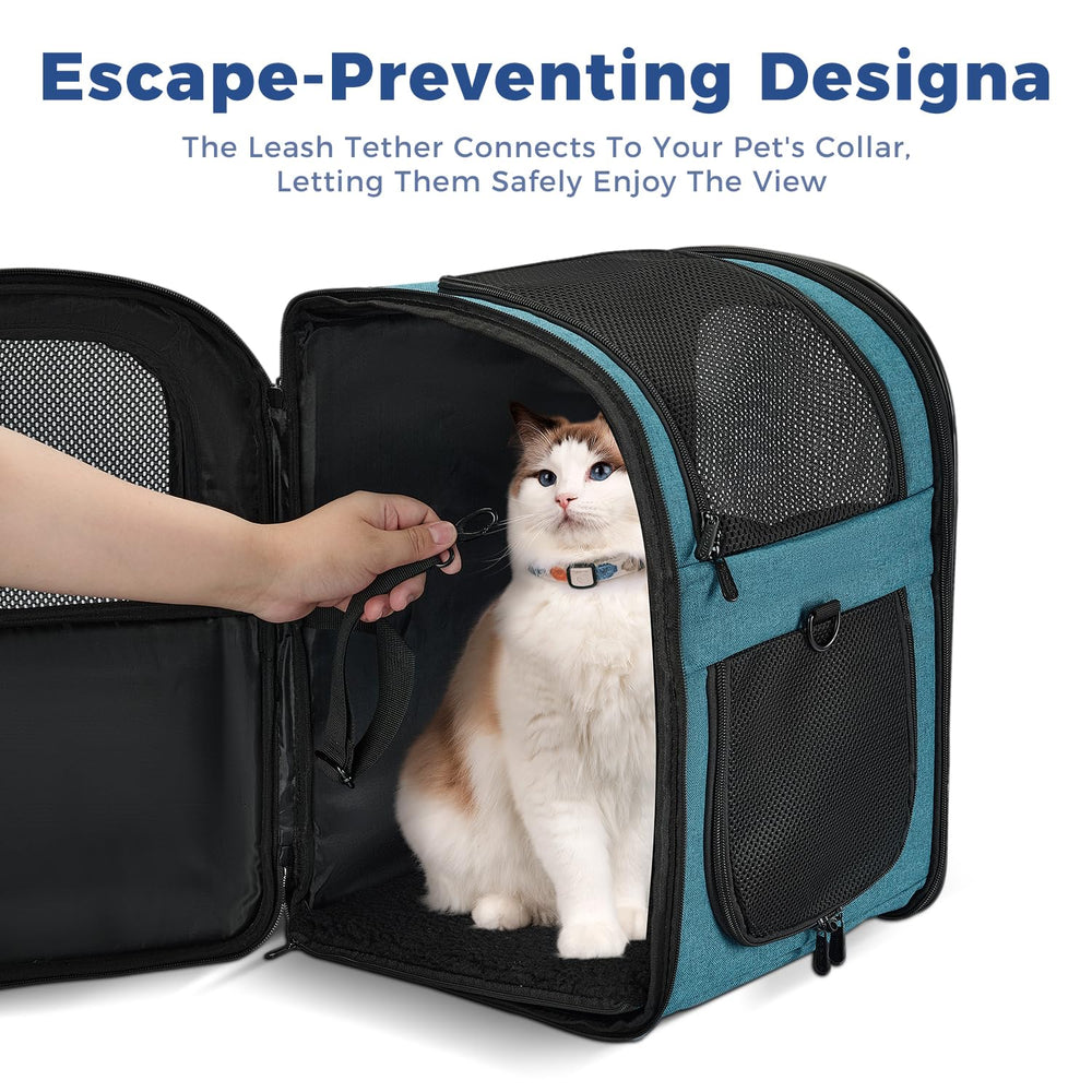 Apollo Walker Mochila Portapet Teal, paneles de malla para mejor ventilación en exteriores.