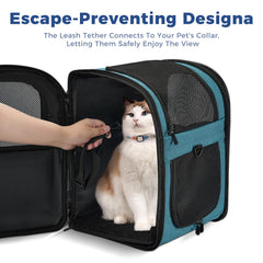 Apollo Walker Mochila Portapet Teal, paneles de malla para mejor ventilación en exteriores.