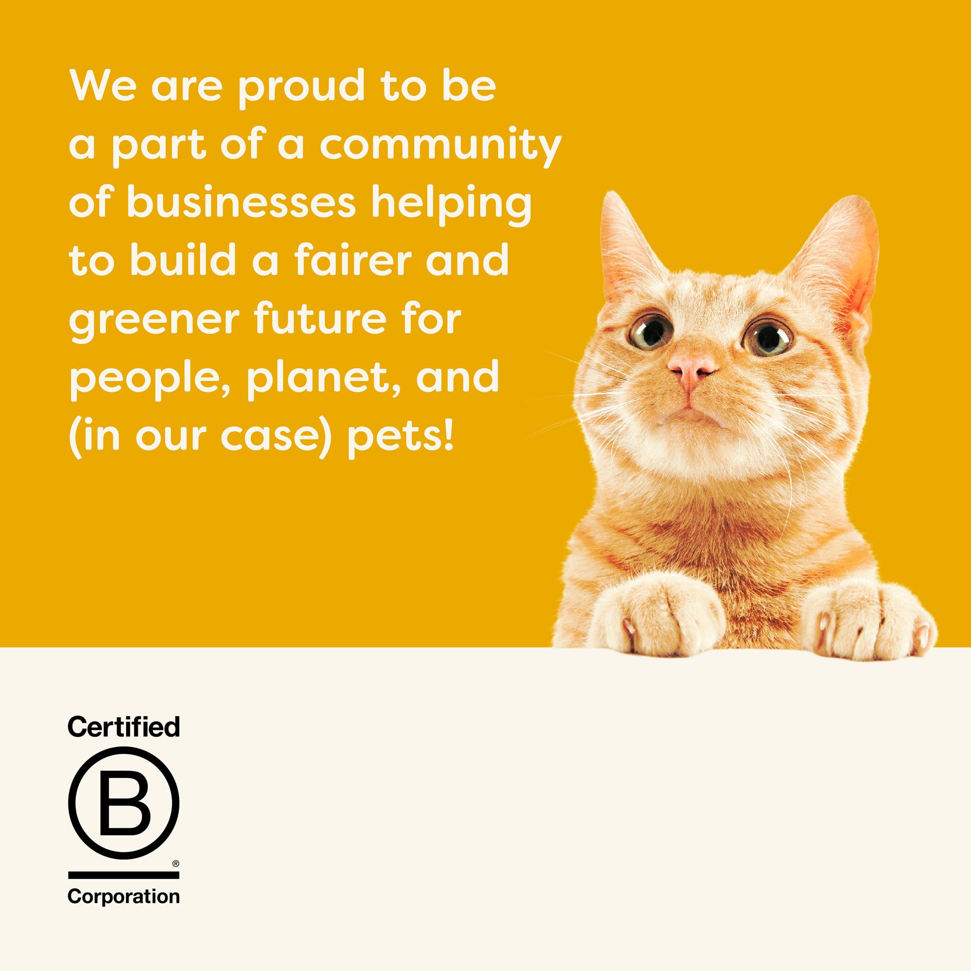 Applaws certificado B Corp, compromiso con planeta y bienestar felino.